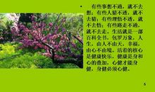 风雨人生作文