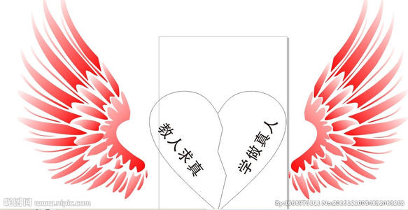 飞翔的翅膀组成