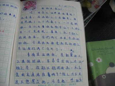 写老师的作文