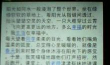 最幸福的一句话作文