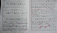 介绍家乡景物的作文