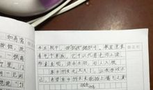 收集阳光作文