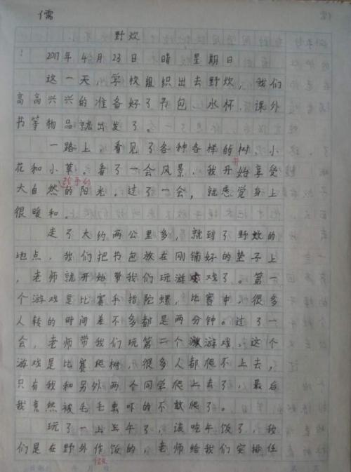 野餐成分