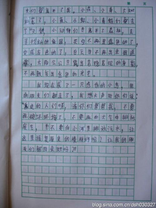 飞鸟的组成