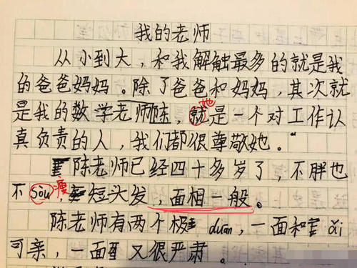 最美丽的老师组成