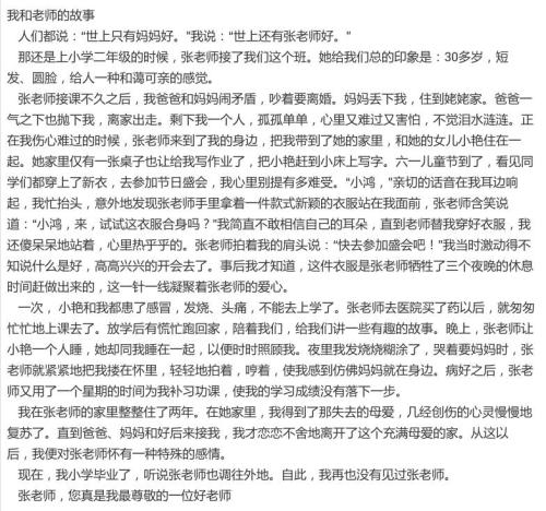 我们的老师组成