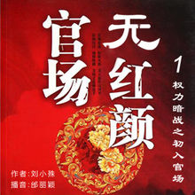 看完官方小说之后