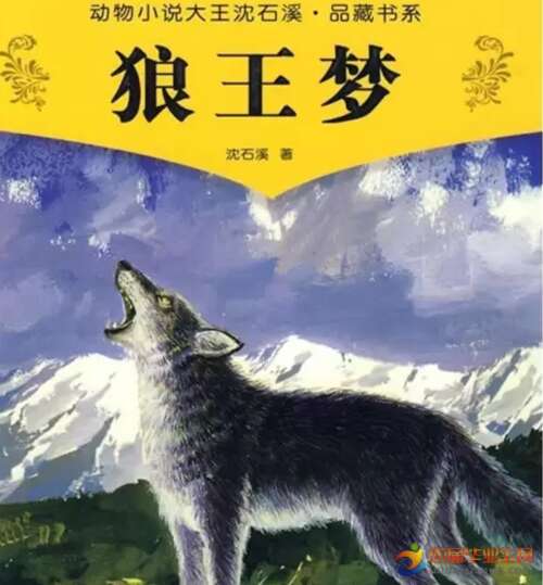 看完狼王
