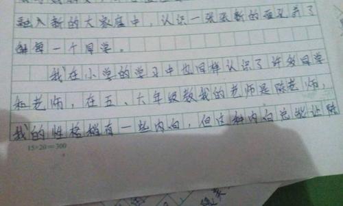 初中每周日记