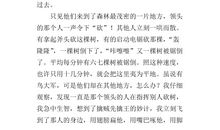 作文我的历险记