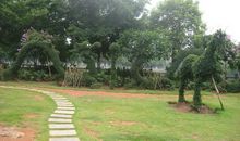 公园一角作文150字