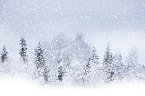 冬季积雪200字