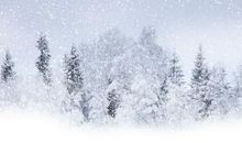 冬天的雪作文200字