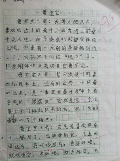 蚕宝宝成分