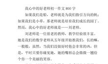 我的老师作文800字