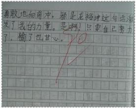 冬季的阳光成分
