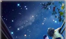 夏天的夜晚作文