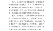 家乡风光的作文