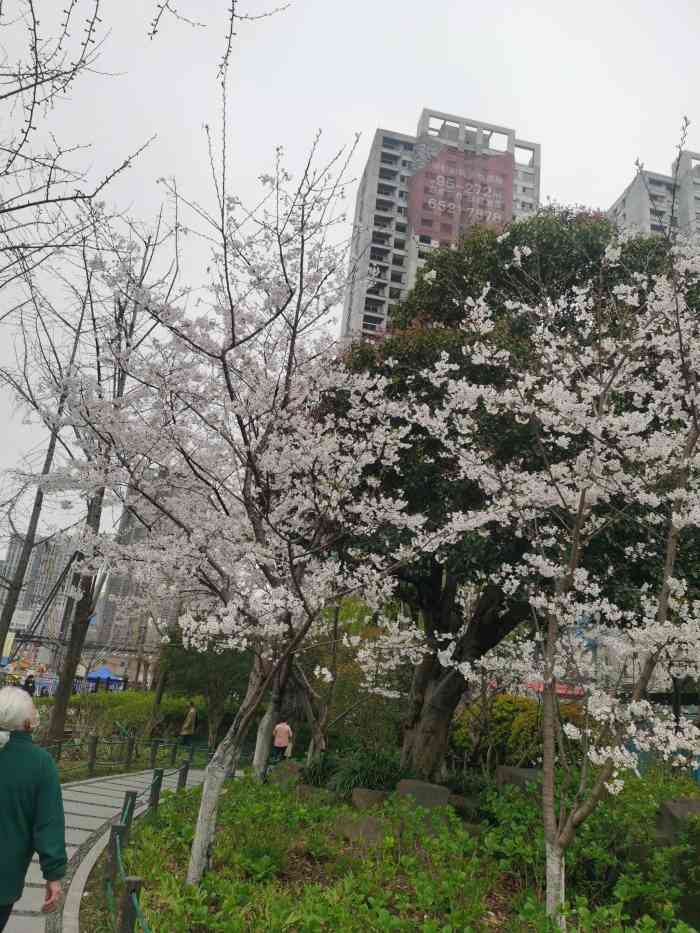 保持心情愉快