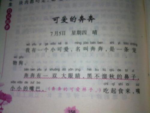 可爱的小狗日记