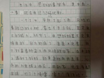 小学生感动作文