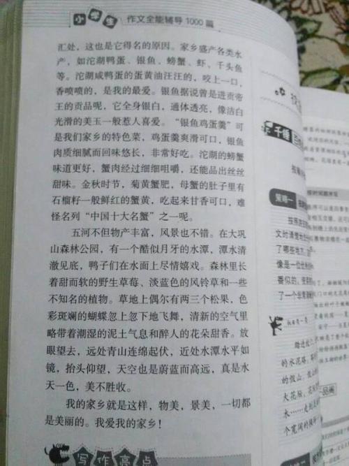 美丽的故乡组成