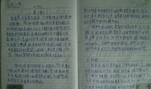 关于蚕宝宝的作文