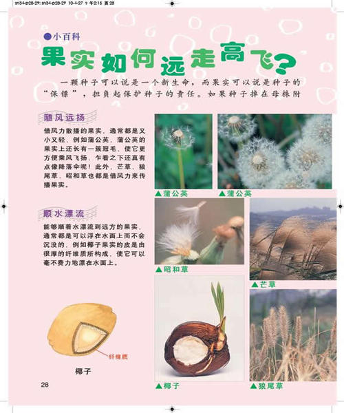 看完科普读物