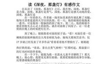 深夜那盏灯读后感