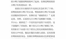 历险记作文500字