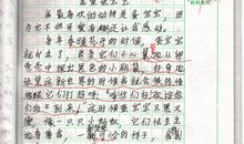 描写蚕宝宝的作文