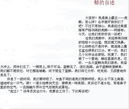 鲸的论文500字
