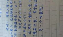 可爱的小兔子作文