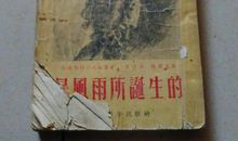 暴风雨所诞生的读后感