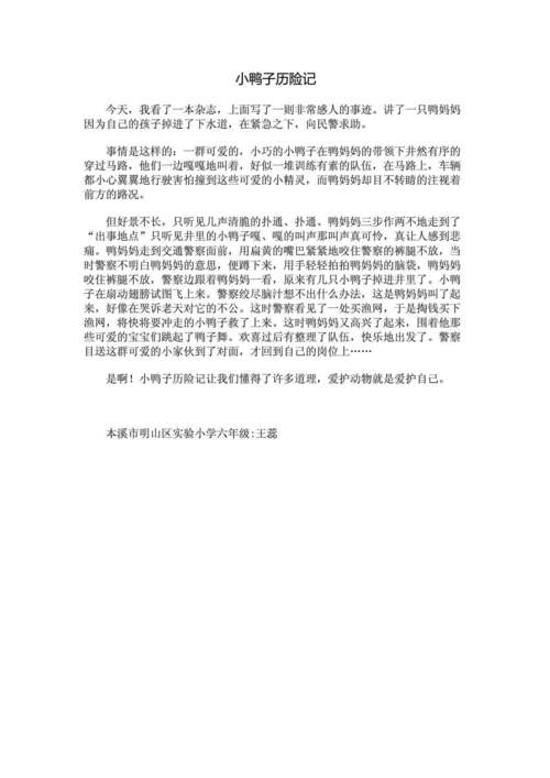 小鸭子历险记