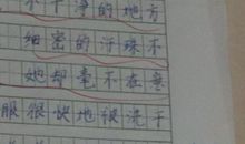 假期里的一件事300字作文