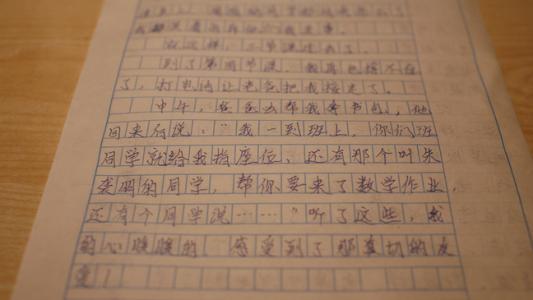 可爱的兔子组成