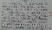 描写夏季的作文