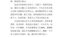 夏天景色的作文