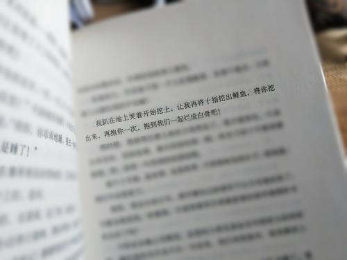 您对三毛梦中的花朵了解多少？