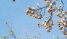 春风化雨观后感