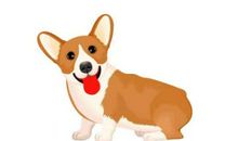 可爱的小狗作文