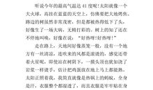 多彩的夏天作文