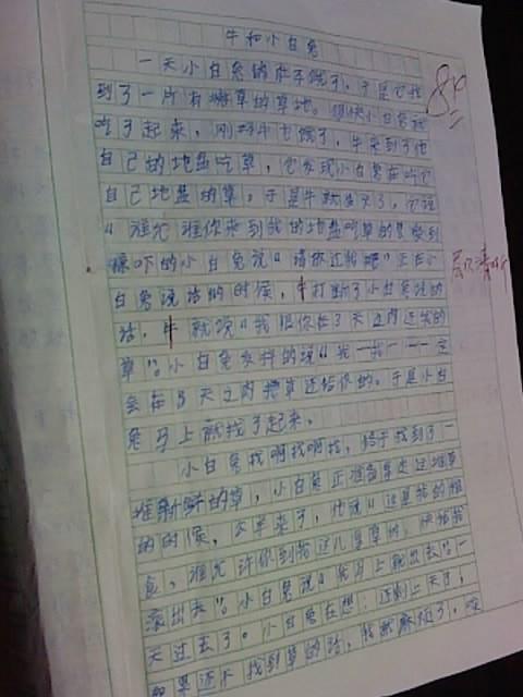 我喜欢夏天的作文