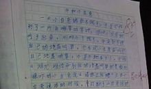 我喜欢夏天作文