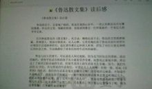 怎么写古诗读后感