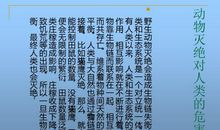 保护动物从我做起作文