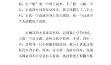 保护动物作文300字