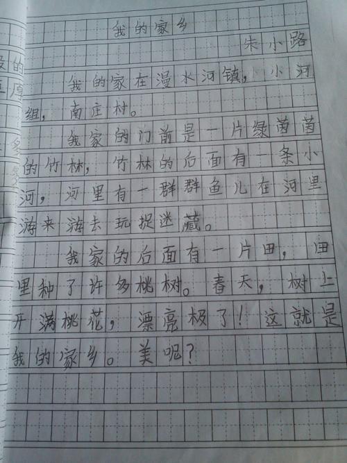 我眼中的学校组成