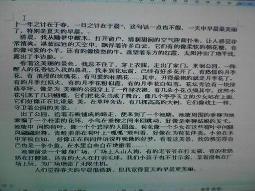 暑期作文600字